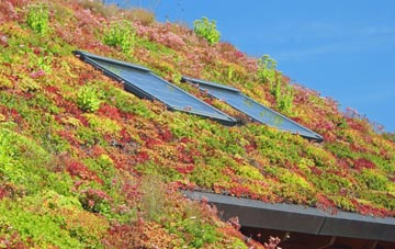 Forsbrook living roof systems