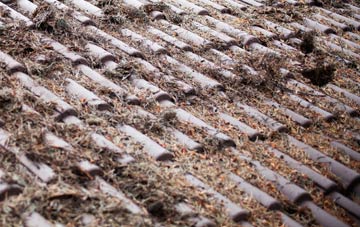 Forsbrook roof cleaning companies