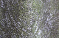 Forsbrook fibreglass roof work